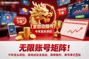 无限账号矩阵!今年龙头项目,游戏试玩全自动,简单操作,单号单日5张【揭秘】-阳知网创资源库