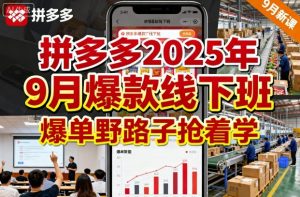 拼多多2025年9月爆款线下班，爆单野路子抢着学-阳知网创资源库