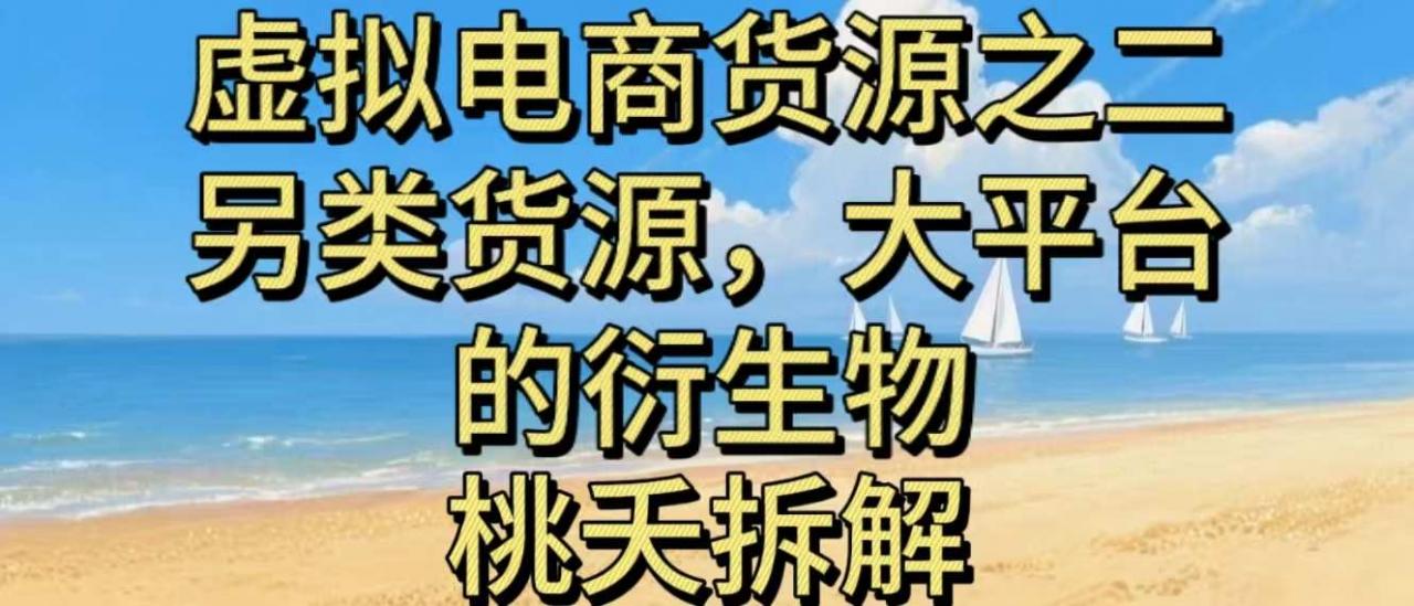 虚拟电商之二—另类的货源，大平台的衍生物-阳知网创资源库