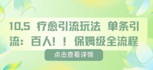 疗愈引流玩法，单条引流百人，保姆级全流程-阳知网创资源库