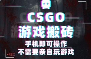 CSGO游戏挂G捡漏,单日扫货5张+,年底小高峰上车可吃肉,手机即可操作,兼职副业创业网创【揭秘】-阳知网创资源库