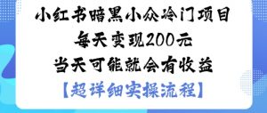 小红书暗黑小众冷门项目每天变现2张当天可能就会有收益-阳知网创资源库
