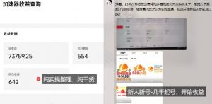 游戏加速器项目4.0_最新打法思路(爱玩游戏也能边玩边被动收益)-阳知网创资源库