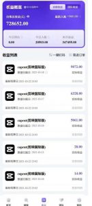 2025风口TK剪映capcut拉新项目,极限高客单,市场空白,2025下半年真正的蓝海项目-阳知网创资源库