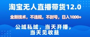 淘宝无人直播12.0,公域私域技术,不封号,不违规布局双十一流量风口,日入1k(独家技术)【揭秘】-阳知网创资源库