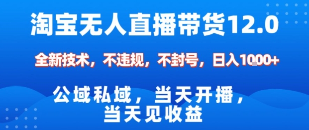 淘宝无人直播12.0,公域私域技术,不封号,不违规布局双十一流量风口,日入1k(独家技术)【揭秘】-阳知网创资源库