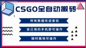 CSGO全自动搬砖,年底钱回家好项目,当天可拿到结果,新手小白轻松月入1W+【揭秘】-阳知网创资源库