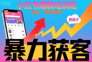 小红书爆款培训班，小红书获客野路子流量打法，暴力持续获客-阳知网创资源库