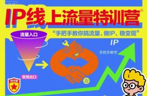 IP线上流量特训营,手把手教你搞流量、做IP、稳变现-阳知网创资源库