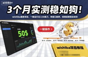 3个月实测稳如狗!wishlba最新项目,一键运行日入50美刀,单窗口躺挣,保姆级教程全给你【揭秘】-阳知网创资源库