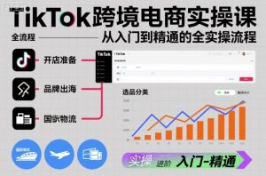 TikTok跨境电商实操课，从入门到精通的全实操流程-阳知网创资源库