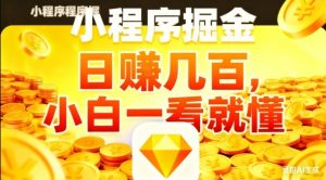 微信小程序掘金项目，日入几张，项目简单，小白一看就懂，5分钟就能学会上手操作【揭秘】-阳知网创资源库