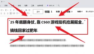 25年底翻身仗，靠CSGO游戏挂G捡漏掘金，搞钱回家过肥年【揭秘】-阳知网创资源库
