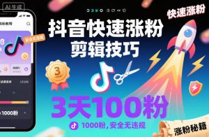 抖音快速涨粉剪辑技巧,3天1000粉,安全无违规-阳知网创资源库