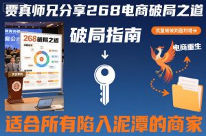 贾真师兄分享268电商破局之道-适合所有陷入泥潭的商家-阳知网创资源库