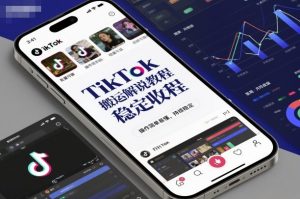 TikTok搬运解说教程,稳定收益,操作简单易懂,批量可做,持续稳定-阳知网创资源库