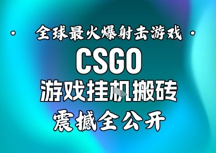 【年底大揭秘】基于全球最火爆的射击CSGO游戏挂G搬砖,日入5张+,震撼公开-阳知网创资源库