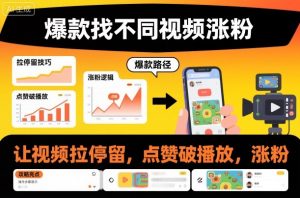 爆款找不同视频涨粉,让视频拉停留,实现点赞,破播放,涨粉-阳知网创资源库