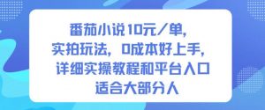 番茄小说10米每单,实拍玩法,0成本好上手,详细实操教程和平台入口适合大部分人-阳知网创资源库