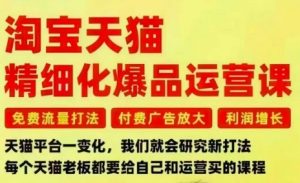淘宝天猫精细化爆品运营课,免费流量打法-付费广告放大-利润增长-三大核心痛点,一次全部解决-阳知网创资源库
