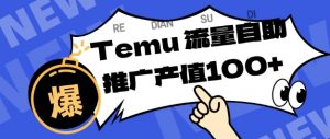 专注于Temu商家提供精准曝光浏览量，助力店铺排名提升和转化，单机日收入80-130【揭秘】-阳知网创资源库