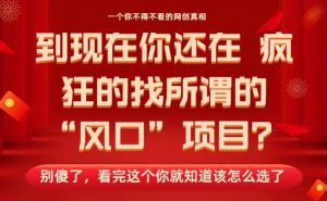 马上26年了,你还在找所谓的风口项目?别傻了,看完这个你全都懂了!【揭秘】-阳知网创资源库