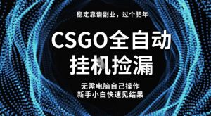 【稳定副业】全球最热门游戏CSGO全自动捡漏,最新玩法,新手小白日入5张+【揭秘】-阳知网创资源库