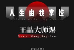 流量破局-人生由我掌控,从素人快速进阶,实现流量与商业价值双丰收-阳知网创资源库