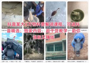 抖音某大V万物科普解说课程，可进抖音精选，独家内容，超干货教学，助你涨粉又賺钱-阳知网创资源库