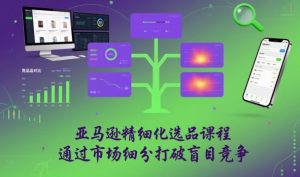 亚马逊精细化选品课程，通过市场细分打破盲目竞争-阳知网创资源库
