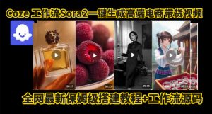 coze智能体sora2一键生成电商带货高端视频工作流保姆级拆解教程,无需剪辑,无需拍摄-阳知网创资源库