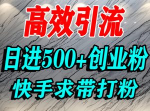 怎么打创业粉？快手求带视角精准引流创业粉，宝妈、学生群体日进500+精准流量-阳知网创资源库