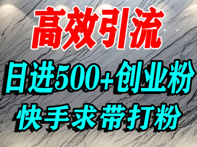 怎么打创业粉?快手求带视角精准引流创业粉,宝妈、学生群体日进500+精准流量-阳知网创资源库