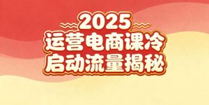 2025小红书运营电商课:新手实战+冷启动+流量揭秘-阳知网创资源库