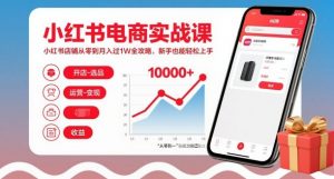 小红书电商实战课,小红书店铺从零到月入过1W全攻略,新手也能轻松上手-阳知网创资源库