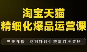淘宝天猫精细化爆品运营（9月12-14杭州线下课），全方位拆解爆品打造逻辑【音频+字幕+文档】-阳知网创资源库