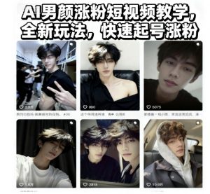 AI男颜涨粉短视频教学,全新玩法,快速起号涨粉-阳知网创资源库