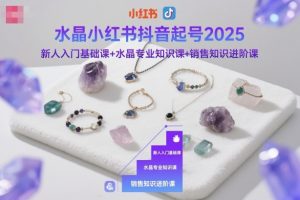 水晶小红书抖音起号2025，新人入门基础课+水晶专业知识课+销售知识进阶课-阳知网创资源库