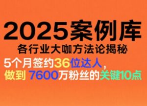 2025案例库,收录各行业大咖的方法论,各行业大咖方法论揭秘-阳知网创资源库