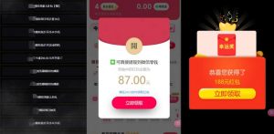 网络项目万能辅助工具_万能配合拉新项目吃遍提成-阳知网创资源库