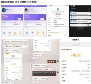 当天能收益的3个小项目拆解_包括平台+操作流程-阳知网创资源库