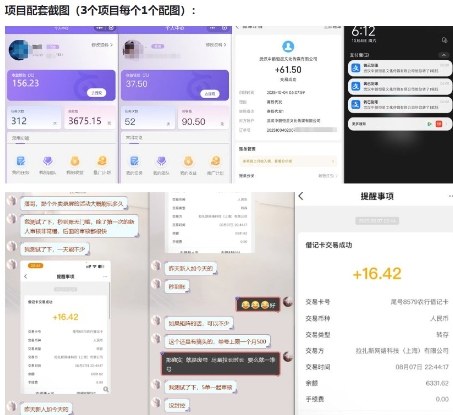 当天能收益的3个小项目拆解_包括平台+操作流程-阳知网创资源库