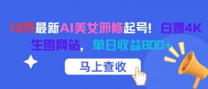 12月最新AI美女邪修起号！白嫖4K生图网站，单日收益8张+-阳知网创资源库