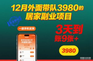 12月外面带队3980的居家副业项目,一部手机实测3天到账9张+,首发教程【揭秘】-阳知网创资源库