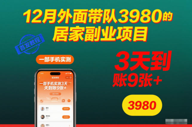12月外面带队3980的居家副业项目,一部手机实测3天到账9张+,首发教程【揭秘】-阳知网创资源库