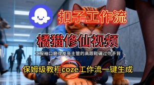 Coze扣子工作流一键生成橘猫修仙视频,保姆级搭建教程-阳知网创资源库