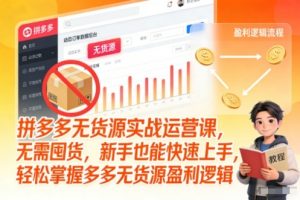 拼多多无货源实战运营课,无需囤货,新手也能快速上手,轻松掌握多多无货源盈利逻辑-阳知网创资源库