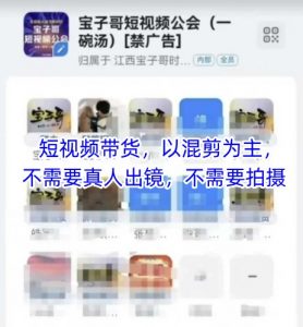 宝子哥头部团队短视频带货,以混剪为主,不需要真人出镜,不需要拍摄【更新11月】-阳知网创资源库