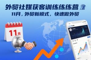 外贸社媒获客训练营11月，外贸新模式，快速做外贸-阳知网创资源库
