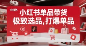 小红书单品带货,极致选品,打爆单品(更新)-阳知网创资源库